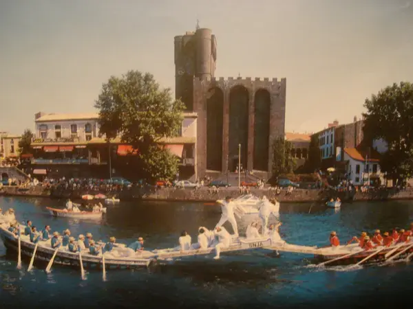 Monte Escalier Confort Plus Monte escalier Agde