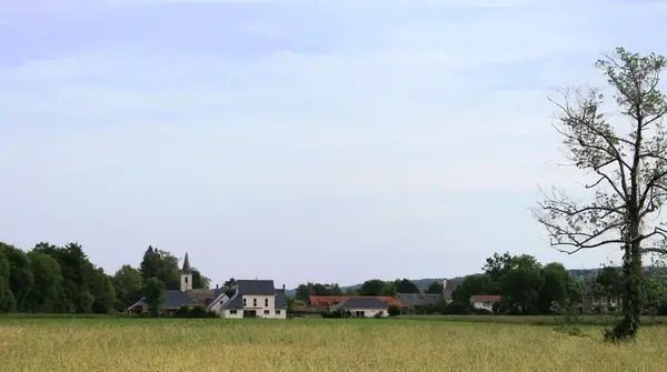 Monte Escalier Confort Plus Monte escalier Allier