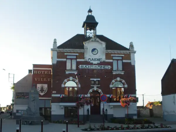 Monte Escalier Confort Plus Monte escalier Auchy-les-Mines