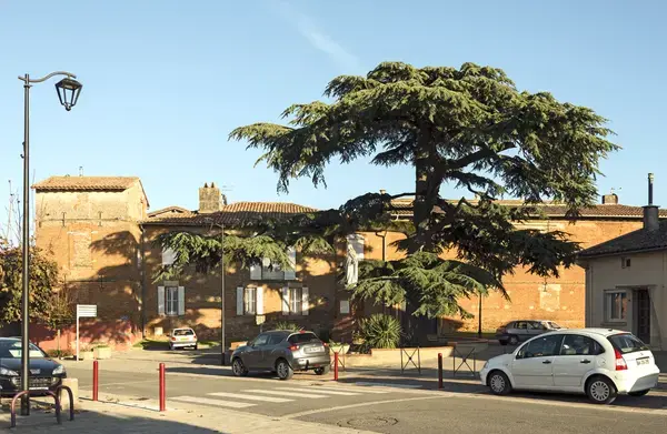 Monte Escalier Confort Plus Monte escalier Aussonne