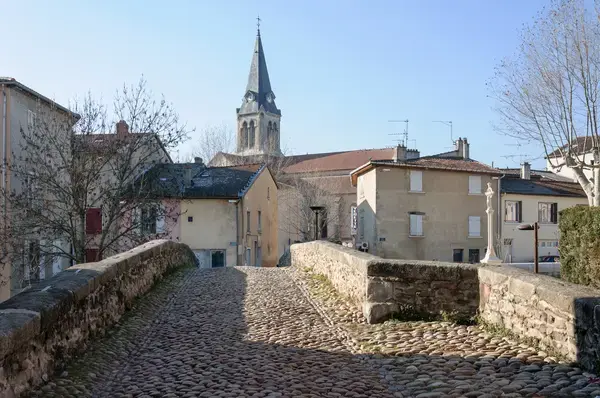 Monte Escalier Confort Plus Monte escalier Brignais