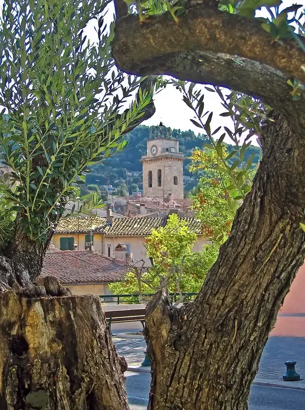 Monte Escalier Confort Plus Monte escalier Ceyreste
