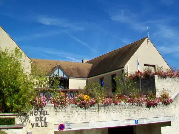 Monte Escalier Confort Plus Monte escalier Courdimanche