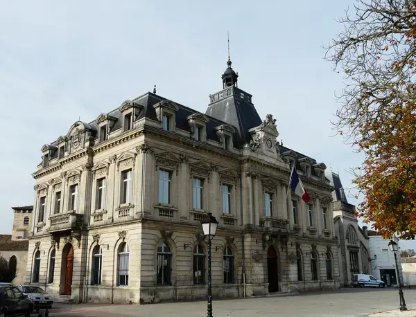 Monte Escalier Confort Plus Monte escalier Coutras