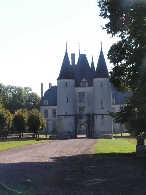 Monte Escalier Confort Plus Monte escalier Dampierre