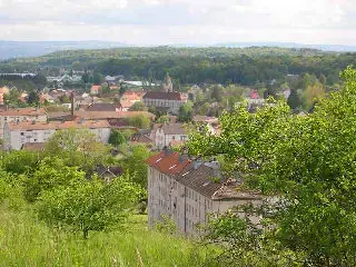 Monte Escalier Confort Plus Monte escalier Danjoutin