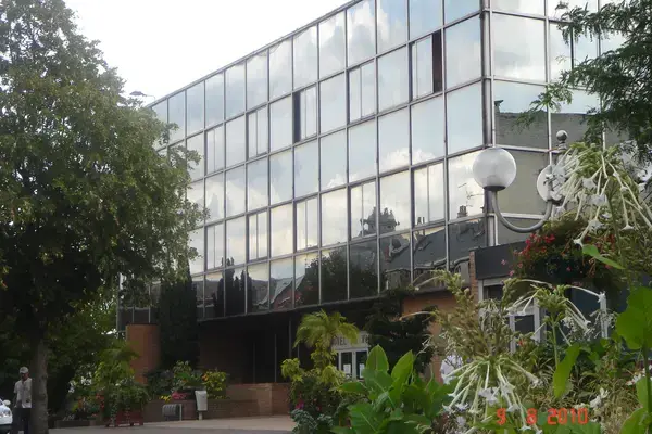 Monte Escalier Confort Plus Monte escalier Denain