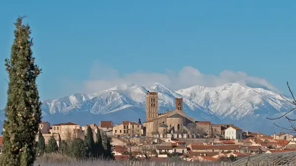Monte Escalier Confort Plus Monte escalier Elne