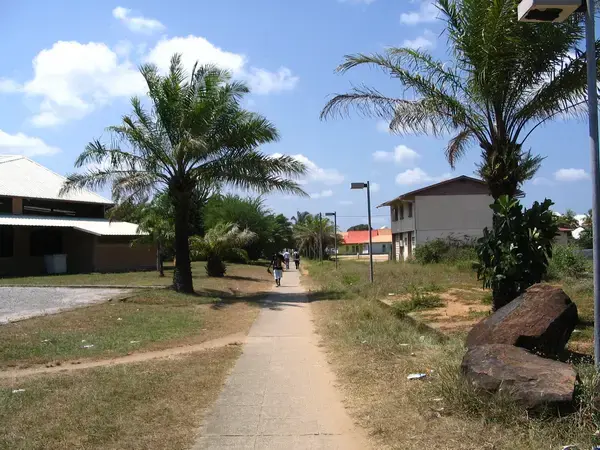 Monte Escalier Confort Plus Monte escalier Kourou