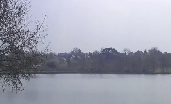 Monte Escalier Confort Plus Monte escalier La Bazoge