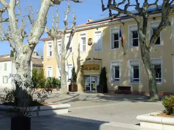 Monte Escalier Confort Plus Monte escalier La Farlède
