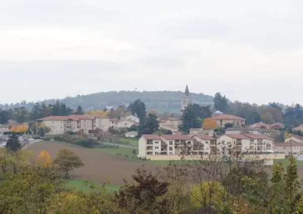 Monte Escalier Confort Plus Monte escalier Lentilly