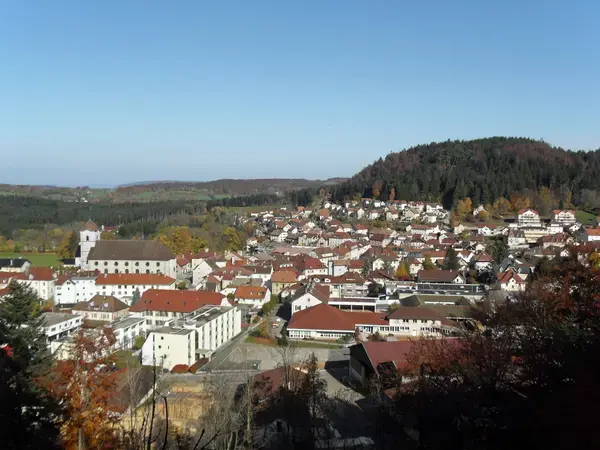 Monte Escalier Confort Plus Monte escalier Maîche