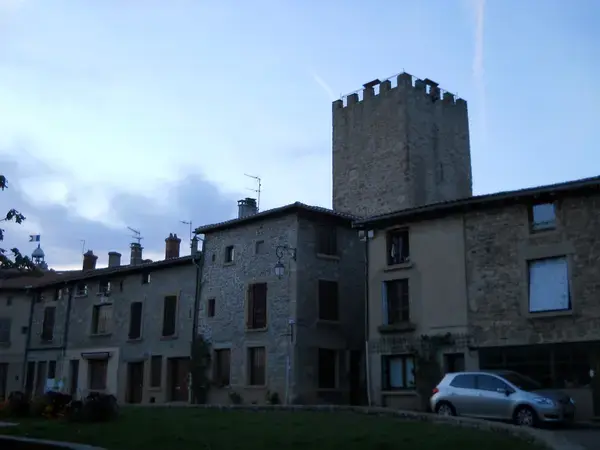 Monte Escalier Confort Plus Monte escalier Mornant