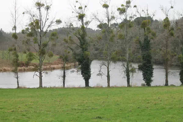 Monte Escalier Confort Plus Monte escalier Muzillac
