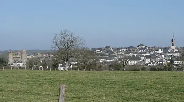 Monte Escalier Confort Plus Monte escalier Ombrée d'Anjou