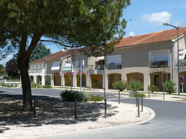 Monte Escalier Confort Plus Monte escalier Pineuilh