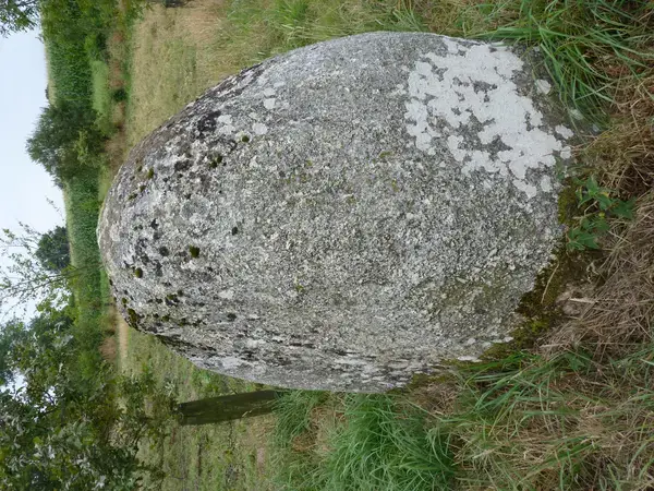 Monte Escalier Confort Plus Monte escalier Plaintel