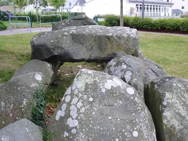 Monte Escalier Confort Plus Monte escalier Ploufragan