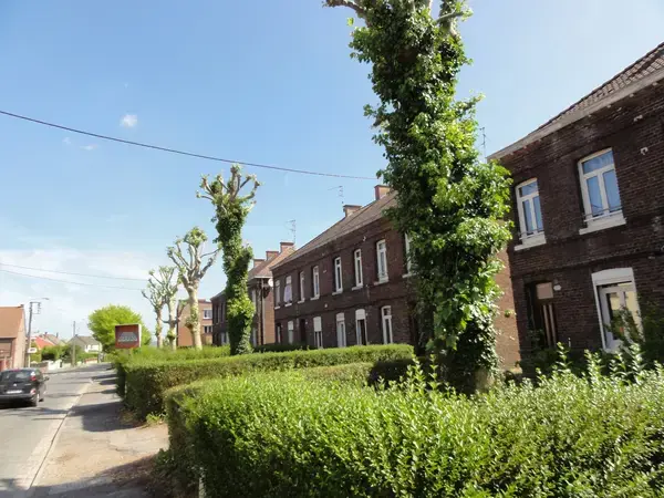 Monte Escalier Confort Plus Monte escalier Quiévrechain