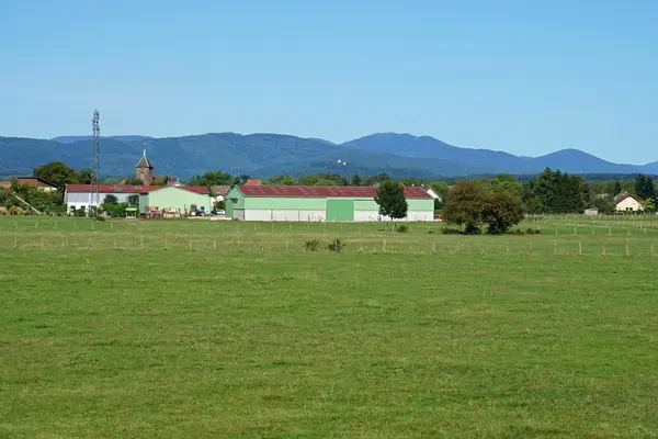 Monte Escalier Confort Plus Monte escalier Roye
