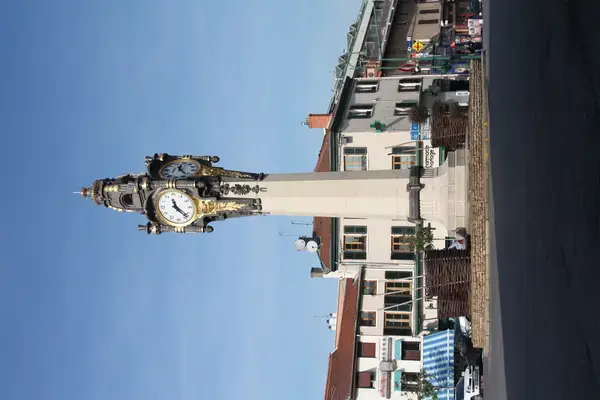 Monte Escalier Confort Plus Monte escalier Tassin-la-Demi-Lune