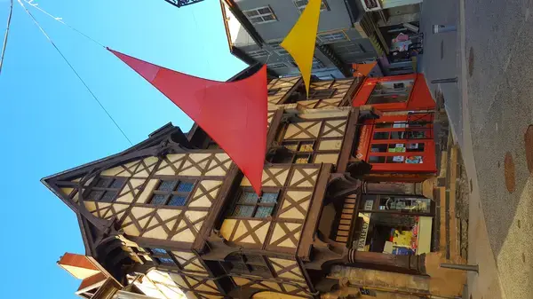 Monte Escalier Confort Plus Monte escalier Thiers