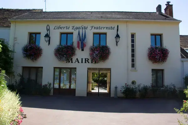 Monte Escalier Confort Plus Monte escalier Tigery